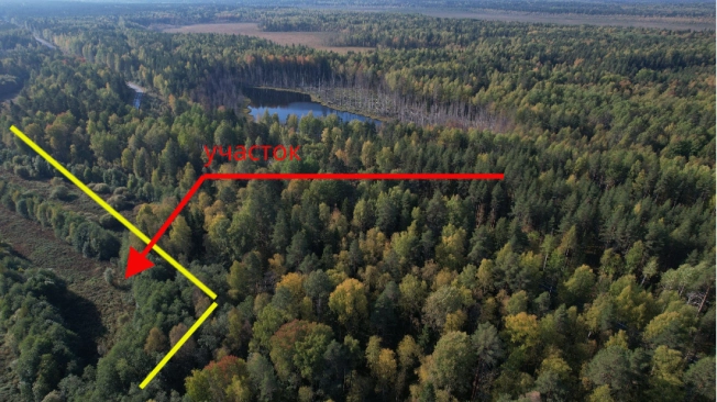 Купить земельный участок в Республике Карелия. Вариант № 13851, 1, площадь -  квм, цена 6000000 рублей