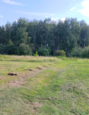 Купить земельный участок в Новосибирске. Вариант № 6628946, 0, площадь -  квм, цена 700000 рублей