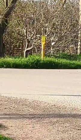 Купить земельный участок в Республике Крым. Вариант № 42238, 15, площадь -  квм, цена 580000 рублей