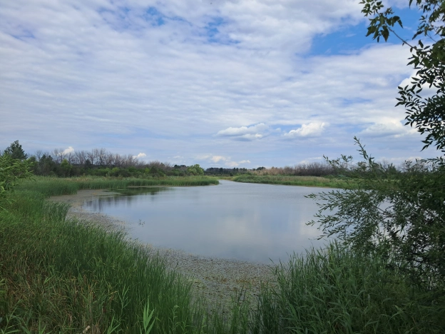Купить земельный участок в Воронеже. Вариант № 3155794, 6, площадь - квм, цена 3500000 рублей