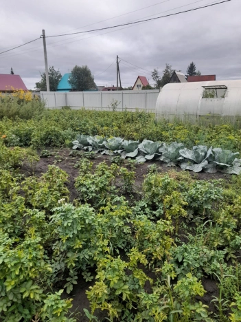 Купить земельный участок на улице Яминская в Алтайском крае. Вариант № 6433, 5, площадь -  квм, цена 850000 рублей