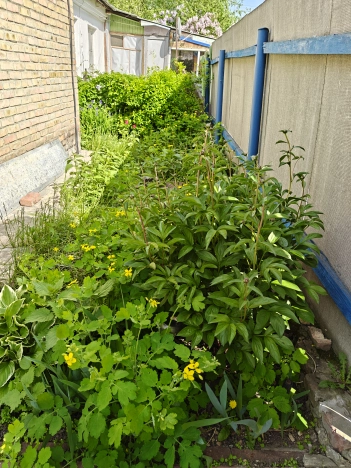 Купить двухкомнатную квартиру на вторичке в Пензенской области. Вариант № 28901, 21, площадь -  квм, цена 3300000 рублей