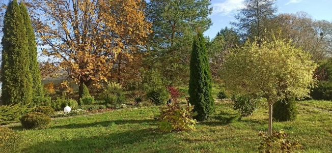 Купить дом в Калининграде. Вариант № 8782239, 4, площадь -  квм, цена 21000000 рублей