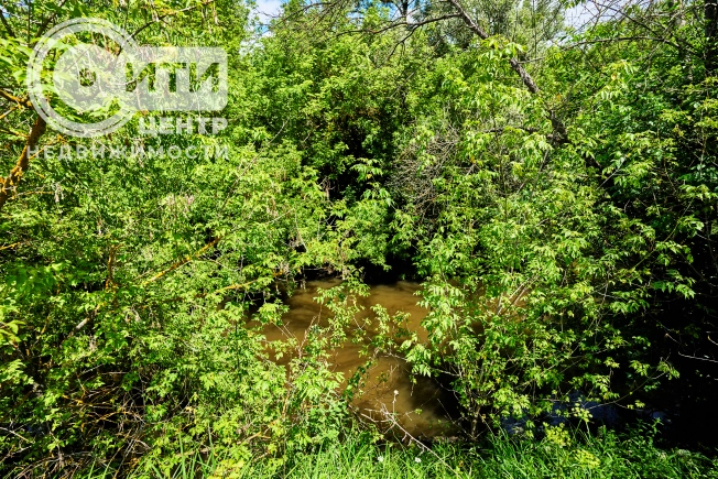 Купить земельный участок на улице Славянова в Воронеже. Вариант № 4123, 4, площадь -  квм, цена 14500000 рублей