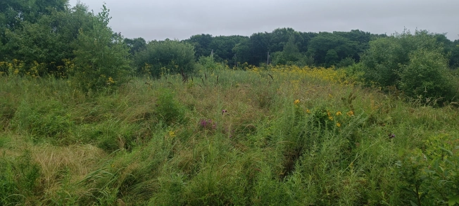Купить земельный участок в Микрорайоне Сахпосёлок, Уссурийск в Уссурийске. Вариант № 10738, 5, площадь -  квм, цена 350000 рублей