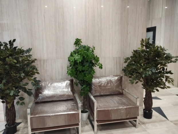 Купить Студию в Новосибирской области. Вариант № 9432164, 4, площадь -  квм, цена 5500000 рублей