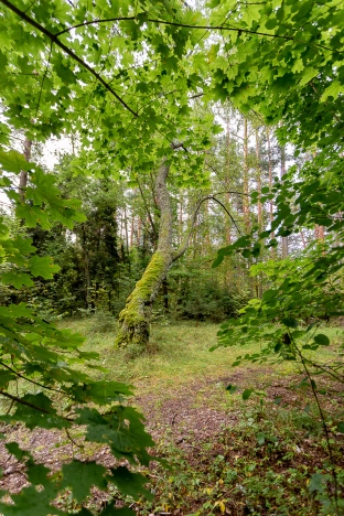 Купить земельный участок в Владимире. Вариант № 1435, 10, площадь -  квм, цена 11500000 рублей