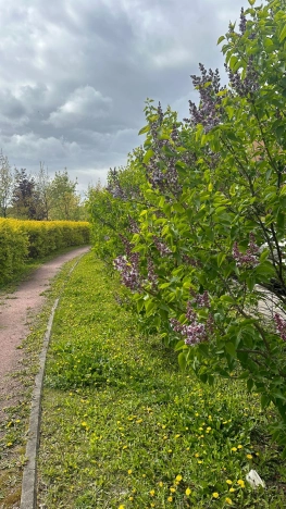 Купить трехкомнатную квартиру в Одинцове. Вариант № 40056, 28, площадь -  квм, цена 33000000 рублей