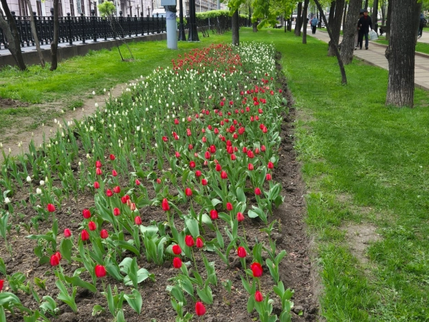 Купить квартиру в Москве. Вариант № 39428, 30, площадь - квм, цена 120000000.0000 рублей