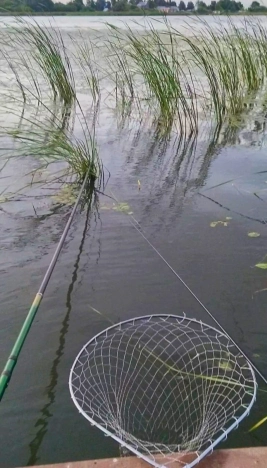 Купить дачу в Новосибирске. Вариант № 8166335, 6, площадь -  квм, цена 850000 рублей