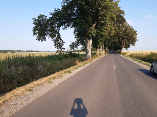 Купить земельный участок в Калининграде. Вариант № 30472, 4, площадь - квм, цена 29000000 рублей