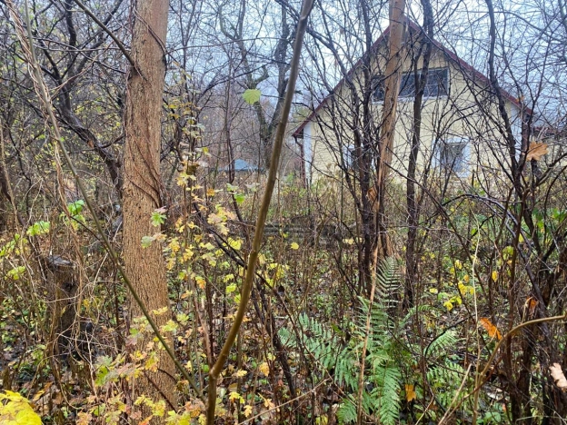 Купить земельный участок в Калининграде. Вариант № 9508834, 5, площадь -  квм, цена 9000000 рублей