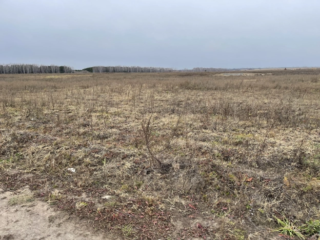 Купить земельный участок на улице Лесная в Тюменской области. Вариант № 3680, 4, площадь -  квм, цена 450000 рублей