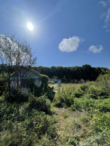 Купить земельный участок в Уссурийске. Вариант № 4794115, 4, площадь -  квм, цена 450000 рублей