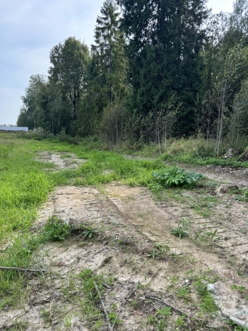 Купить земельный участок в Вологодской области. Вариант № 14021, 5, площадь -  квм, цена 881400 рублей