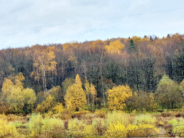 . Вариант № 8621939, 21, площадь - 37.7 квм, цена 7800000 рублей