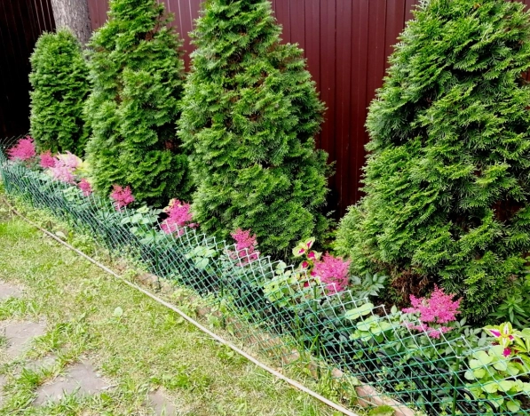 Купить четырехкомнатную квартиру в районе Октябрьский в Новосибирске. Вариант № 6334, 26, площадь -  квм, цена 17500000 рублей