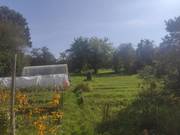 Купить дачу в Московской области. Вариант № 38682, 6, площадь -  квм, цена 1450000 рублей