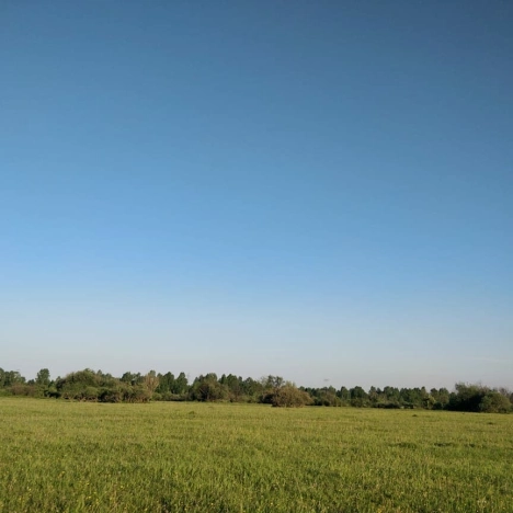 Купить земельный участок в Новосибирске. Вариант № 1241624, 6, площадь -  квм, цена 520000 рублей