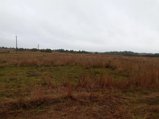 Купить земельный участок на улице 1 Мая в Нижегородской области. Вариант № 24340, 3, площадь -  квм, цена 1050000 рублей