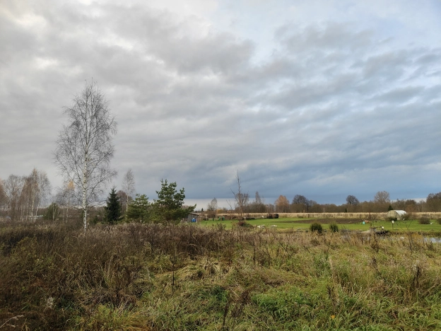 Купить земельный участок в Тульской области. Вариант № 8493413, 4, площадь -  квм, цена 1100000 рублей