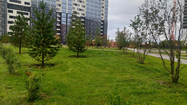 Купить Студию на вторичке в районе Калининский в Новосибирской области. Вариант № 3212998, 12, площадь -  квм, цена 3500000 рублей