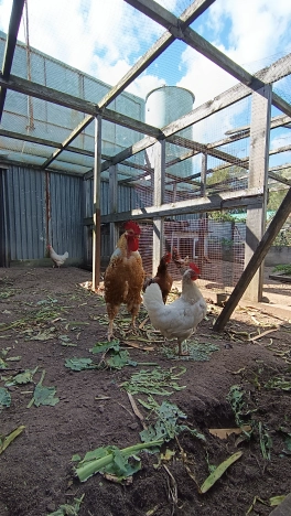 Купить дом в Микрорайоне Восточный, Тобольск в Тобольске. Вариант № 22430, 33, площадь -  квм, цена 15000000 рублей