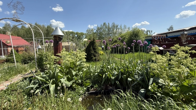 Купить дом в Москве. Вариант № 6144568, 32, площадь -  квм, цена 7500000 рублей