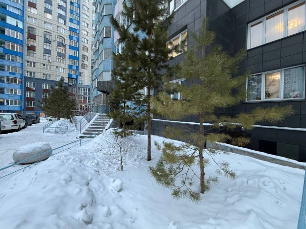 Купить двухкомнатную квартиру в Новосибирской области. Вариант № 10315686, 4, площадь -  квм, цена 9200000 рублей