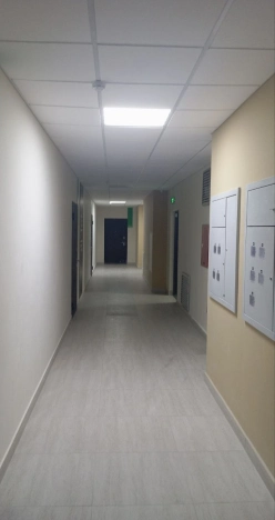 Купить Студию в Краснодарском крае. Вариант № 6838556, 10, площадь -  квм, цена 4950000 рублей