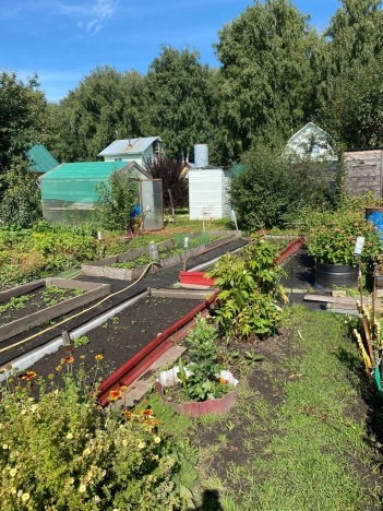 Купить земельный участок в Новосибирске. Вариант № 2054884, 6, площадь -  квм, цена 1050000 рублей