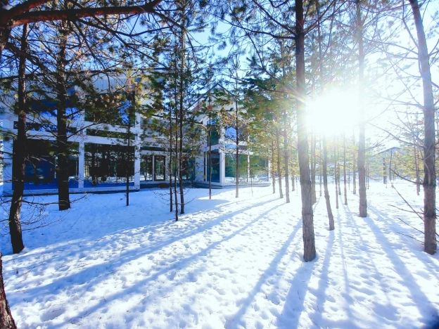 Купить дом в Обь. Вариант № 9176410, 5, площадь -  квм, цена 40000000 рублей