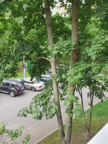 Купить квартиру в Москве. Вариант № 8535008, 17, площадь -  квм, цена 10500000 рублей