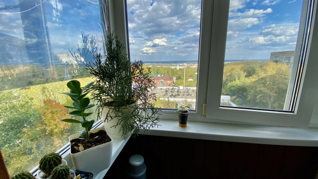 Купить трехкомнатную квартиру на улице Мира в Пензе. Вариант № 5399946, 15, площадь -  квм, цена 3880000 рублей