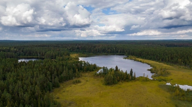 Купить земельный участок в Санкт-Петербурге. Вариант № 9949256, 5, площадь - квм, цена 17570000 рублей