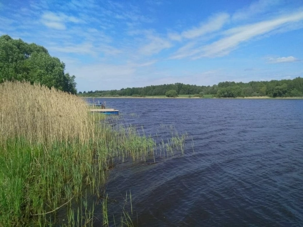 Купить земельный участок на улице Загородная в Ярославской области. Вариант № 58317, 0, площадь -  квм, цена 3500000 рублей