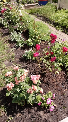 Купить дом на улице Полецкого в Калининграде. Вариант № 4956, 23, площадь -  квм, цена 8800000 рублей