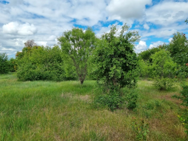 Купить земельный участок в Республике Крым. Вариант № 5524, 0, площадь -  квм, цена 2500000 рублей