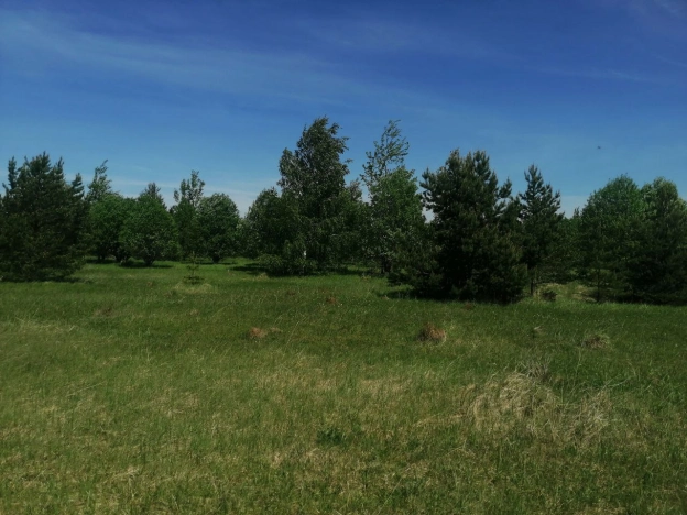 Купить земельный участок на улице 8-я линия в Нижегородской области. Вариант № 40524, 1, площадь -  квм, цена 16000000 рублей