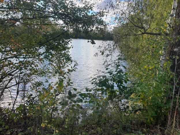 Купить дачу в Московской области. Вариант № 5921744, 11, площадь -  квм, цена 550000 рублей