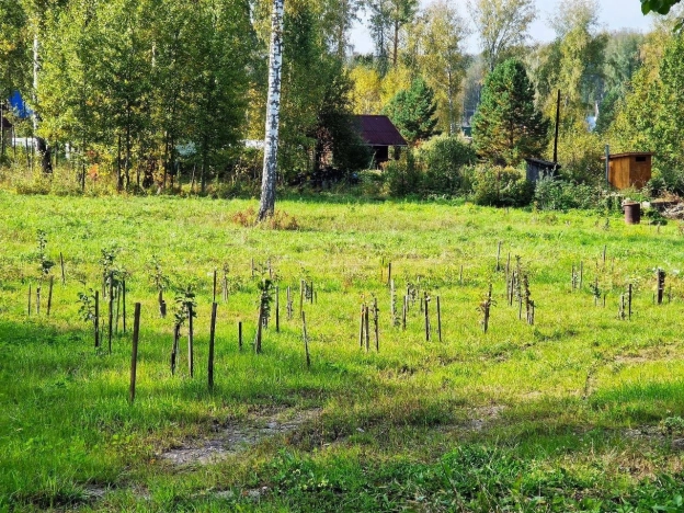 Купить земельный участок в Искитиме. Вариант № 19506, 29, площадь -  квм, цена 3430000 рублей