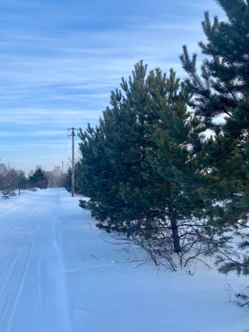 Купить земельный участок на улице Яминская в Алтайском крае. Вариант № 7254, 3, площадь -  квм, цена 500000 рублей