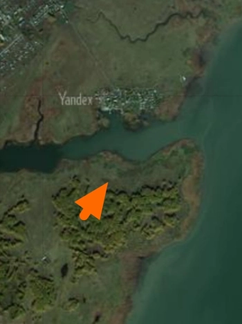 Купить земельный участок в Новосибирске. Вариант № 6636485, 1, площадь -  квм, цена 400000 рублей