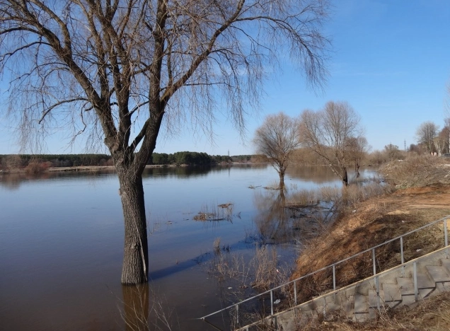 Купить дом в Судогде. Вариант № 1237, 40, площадь -  квм, цена 17800000 рублей