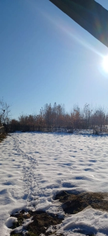 Купить дом на улице Тургенева в Новосибирске. Вариант № 8031179, 0, площадь -  квм, цена 3300000 рублей