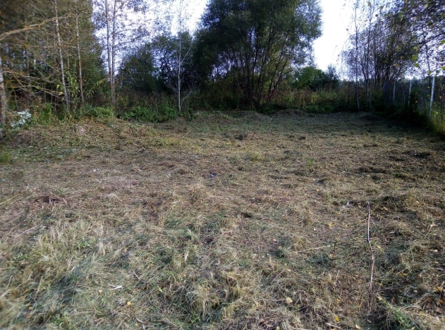 Купить земельный участок в Тульской области. Вариант № 17287, 5, площадь -  квм, цена 370000 рублей