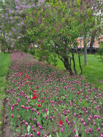 Купить квартиру в Москве. Вариант № 39428, 31, площадь - квм, цена 120000000.0000 рублей