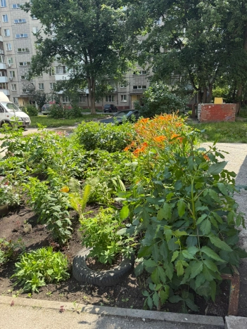 . Вариант № 60729, 16, площадь - 30 квм, цена 2800000 рублей