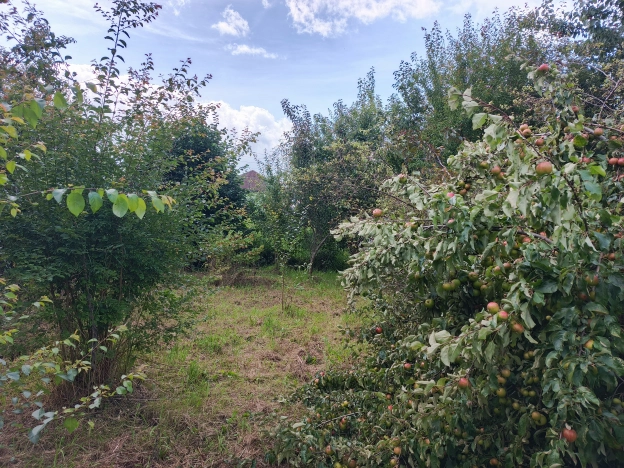 Купить земельный участок в Калининграде. Вариант № 2166667, 0, площадь -  квм, цена 4800000 рублей