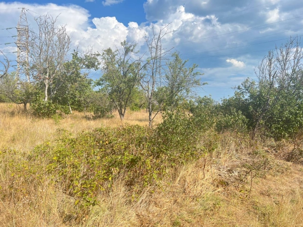 Купить земельный участок в Керчи. Вариант № 14079, 0, площадь -  квм, цена 1600000 рублей